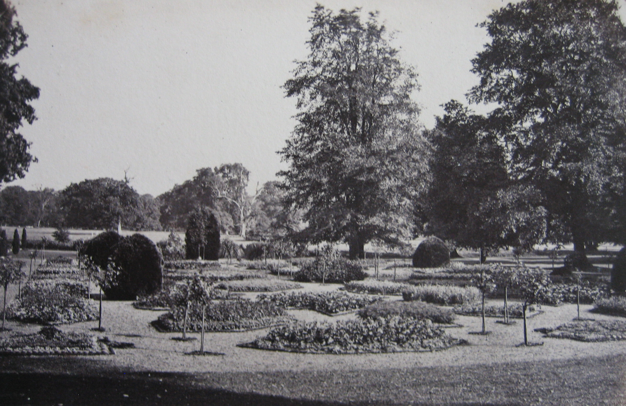 Photograph of the Flower Garden.