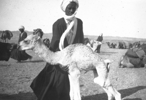 Photograph of a Bedouin with a baby camel.
